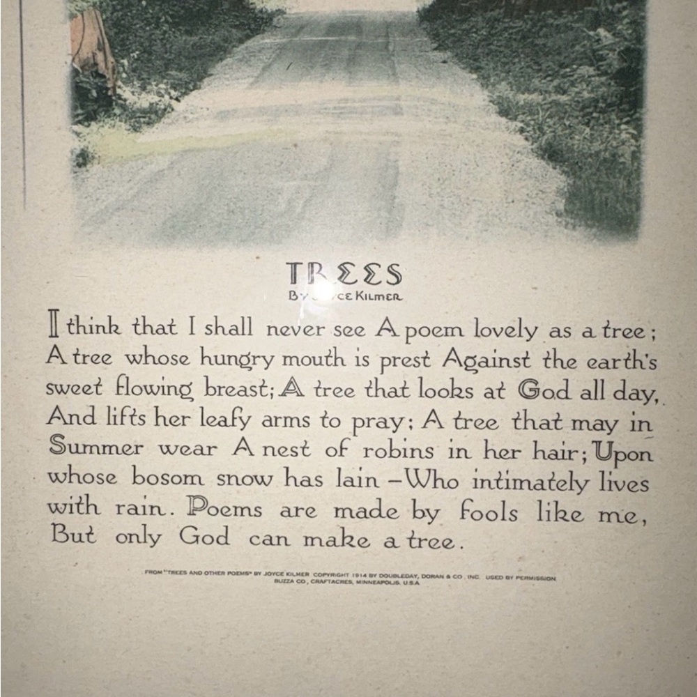 Vintage “Trees” Poem By Joyce Kilmer Framed Buzza Co Print Two Tone Frame - Picture 5 of 8